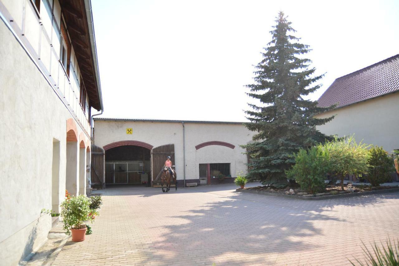 Gut Fischer Pomssen Экстерьер фото